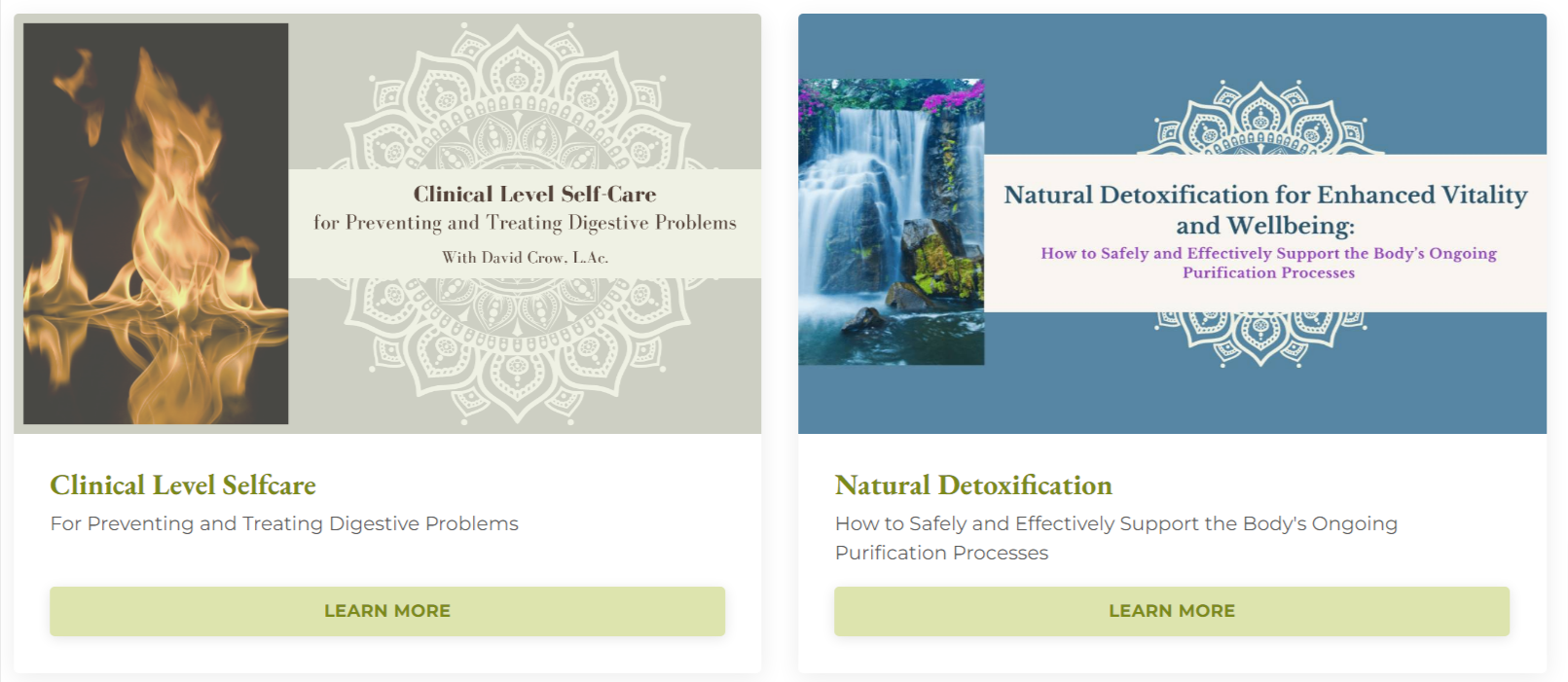 botanical medicine